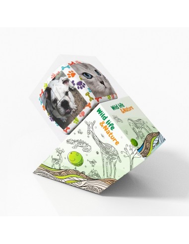 V-cube 2 animaux domestiques