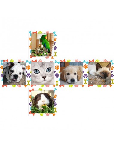 V-cube 2 animaux domestiques