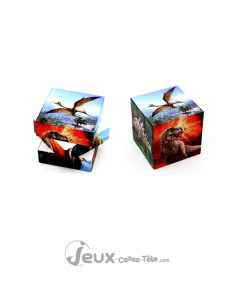 Casse-tête cube 3 D de patience 6 faces dinosaure à petit prix